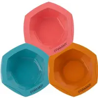 Framar Baecation - Colorist Kit
