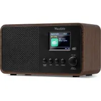 Audizio Avio DAB+ Radio Wood