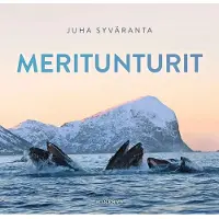 Meritunturit