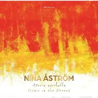 Åström, Ateria aavikolla - Picnic in the Desert