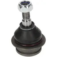 Delphi Pallonivel TC834