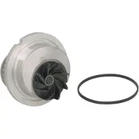 Schaeffler INA Water Pump