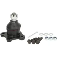 Delphi Pallonivel TC3668