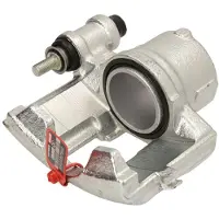 LAUBER Jarrusatula 77.0524