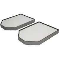 Valeo Raitisilmasuodatin 698790