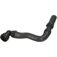 THERMOTEC Jäähdyttimen letku DWW023TT