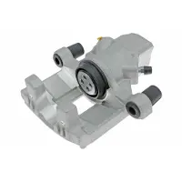 ABE Jarrusatula CZH1484
