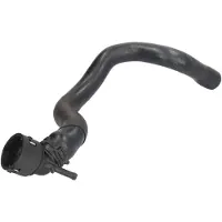 THERMOTEC Jäähdyttimen letku DWW313TT