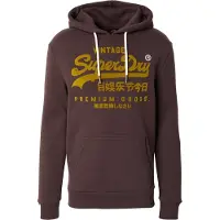 Superdry for man. M2014024A Relaxed Tonal brown sweatshirt (XL), Casual, Cotton