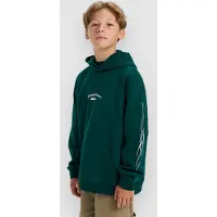Quiksilver Stretch Tribal Kids Huppari botanical garden Koko T12