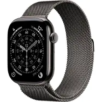 Apple Watch Series 11 GPS + Cell 46 mm liuskekivi titan, liuskekivi milanolaisranneke - M/L