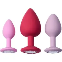 Baseks Jewel Aloittelijan Anustappisetti - Pink