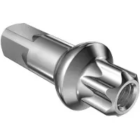 Dt Swiss Aluminum Squorx Pro Head 2.0/fg 2.3 Nipat