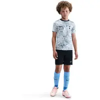 Nike Tottenham Treenipaita Dri-fit Academy Pro Pre Match - Valkoinen/harmaa/navy Lapset - , koko S: 128-137 cm