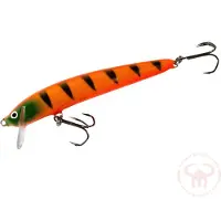 Nils Master Invincible Shallow 12 cm vaappu
