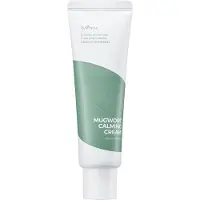 Isntree Mugwort Calming Cream 50 ml