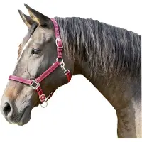 Foga Halter Mustang Full Red/Black