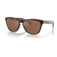 Oakley Frogskins - Prizm Tungsten OO9013-C555