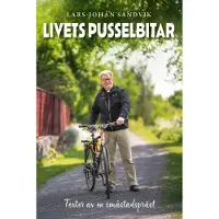 Sandvik, Livets pusselbitar - Texter av en småstadspräst