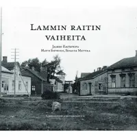Rautavirta, Lammin raitin vaiheita