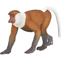 MOJO - Wildlife Proboscis Monkey