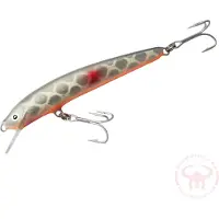 Nils Master Invincible 12 cm vaappu