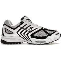 Nike Air Pegasus 2005 Lenkkarit