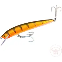Nils Master Invincible 12 cm vaappu