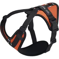 JULIUS K-9 Longwalk Light Koiran Valjaat