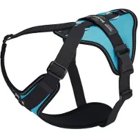 JULIUS K-9 Longwalk Light Koiran Valjaat