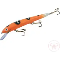 Nils Master Invincible 15 cm vaappu
