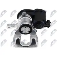 NTY Jarrusatula HZT-PL-088