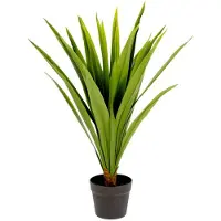 Kave Home Yucca-tekokasvi K 80 cm