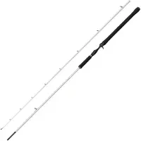Abu Garcia Beast X2 Trolling Cast hyrräkelavapa