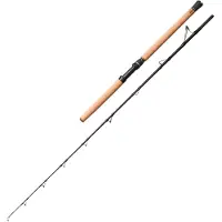 Savage Gear Fury SG6 Halibut 195 cm 250-700 g 2-os hyrrävapa