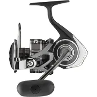 Daiwa Bg Mq 2020 Heittokelan