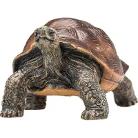 Small Foot Wildlife Giant Tortoise