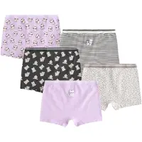 Next Alushousut harmaa / laventeli / musta / offwhite