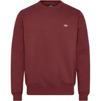 Dickies Oakport Collegepaita