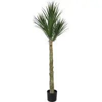 Mr Plant , Yucca Rostrata Puu 180 cm