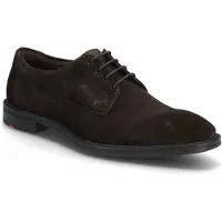Lloyd X-Motion 110 - Brown - 46.5
