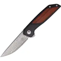 Begg Knives Diamici Linerlock Damascus