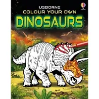 Usborne Colour Your Own Dinosaurs