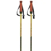 Völkl Phantastick 16mm Poles 2025 Laskettelusauvat vihreä, 130