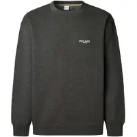 Pepe Jeans for man. PM5800031 Terry Crew sweatshirt grey (XL), Casual, Cotton