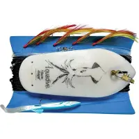 RAGOT Leisure Light Trolling Pääsiima 25 M