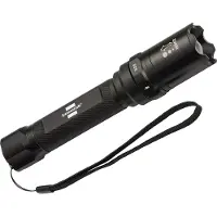 Brennenstuhl 1178600201, Käsikokoinen taskulamppu, Musta, Metalli, Painikkeet, IP44, LED