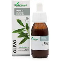 Soria natural Oliivinlehtiuute XXI