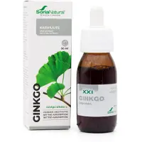 Soria natural Neidonhiuspuu-uute XXI