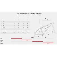 Megamo Natural 40 29´´ Acera 2026 Maastopyörä